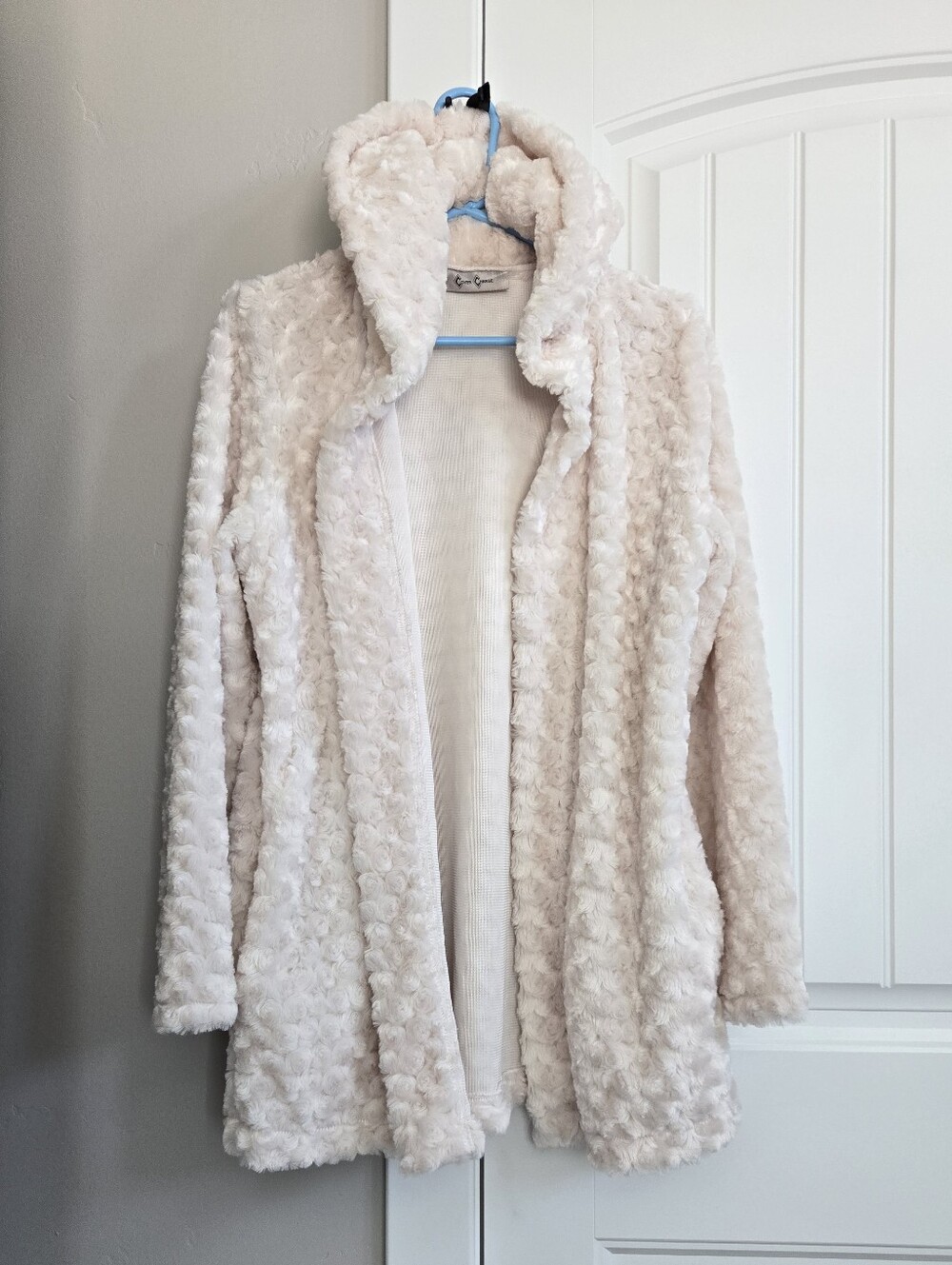 Plush Hooded Teddy Coat in Cream